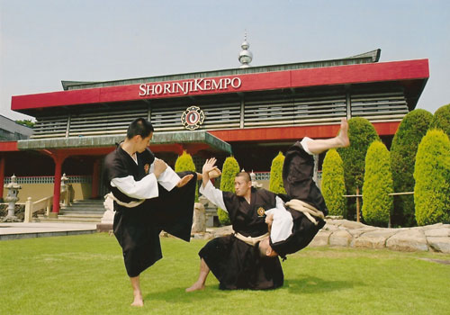 Två Shorinji Kempo-utövare som tränar par-teknik